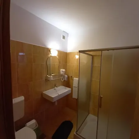 Pensjonat Pensiunea Riunione Braszów