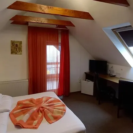 Pensiunea Riunione 3* Braszów