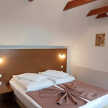 Pensjonat Pensiunea Riunione 3*