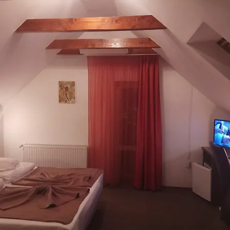 Pensjonat Pensiunea Riunione 3*